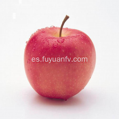 Exportar la manzana Fuji fresca de alta calidad (64-198)